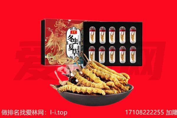保山回收虫草.jpg